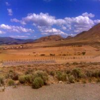 Wild horse pens in Palomino Valley